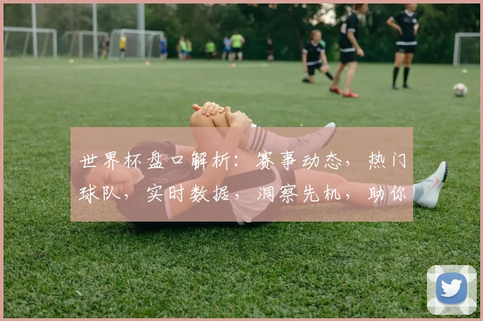 世界杯盘口解析：赛事动态，热门球队，实时数据，洞察先机，助你一臂之力