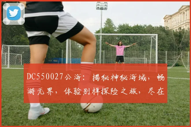 DC550027公海：揭秘神秘海域，畅游无界，体验别样探险之旅，尽在其中，三大亮点不容错过