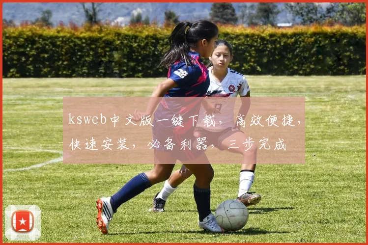 ksweb中文版一键下载，高效便捷，快速安装，必备利器，三步完成